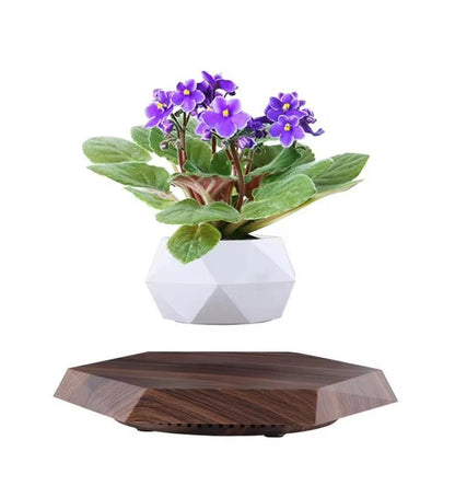 Levitating Flower Pot – أصيص نباتات مغناطيسي عائم بقاعدة خشبية